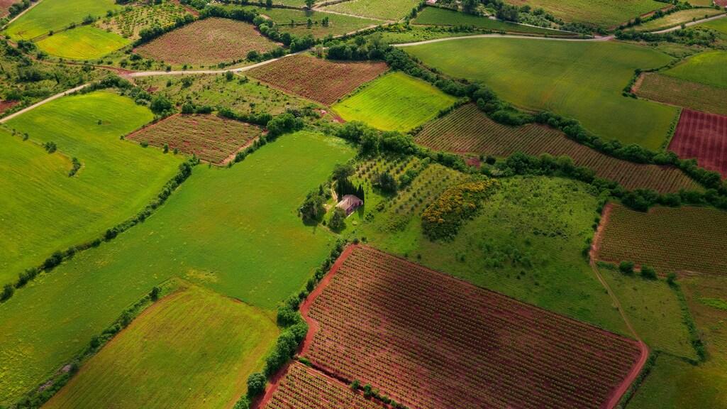 Land/Plot